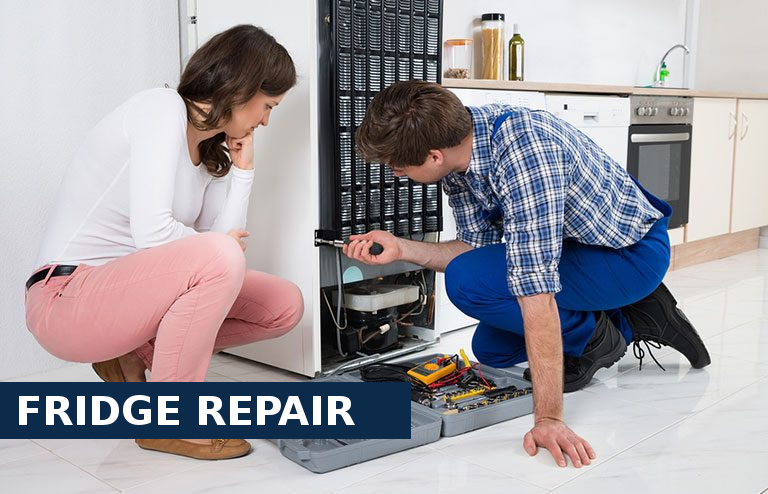 Fridge Repair West Byfleet